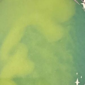 Meet your Posher, Sean